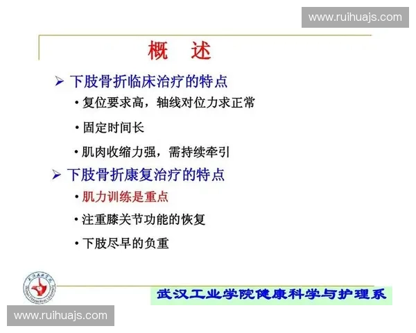 构建以肌力量化评估为核心的科学训练体系探索路径与实践应用策略研究
