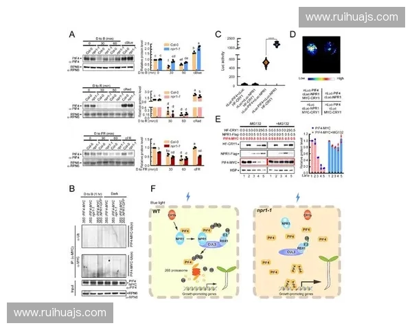 基于反应机制的复杂体系转化路径与过程调控新范式研究构建探索方法